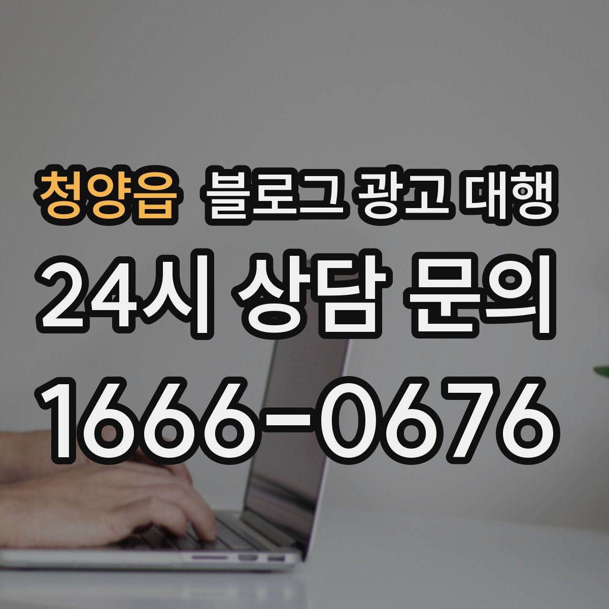 청양읍 블로그 광고 대행 사례에서 보는 성공 포인트