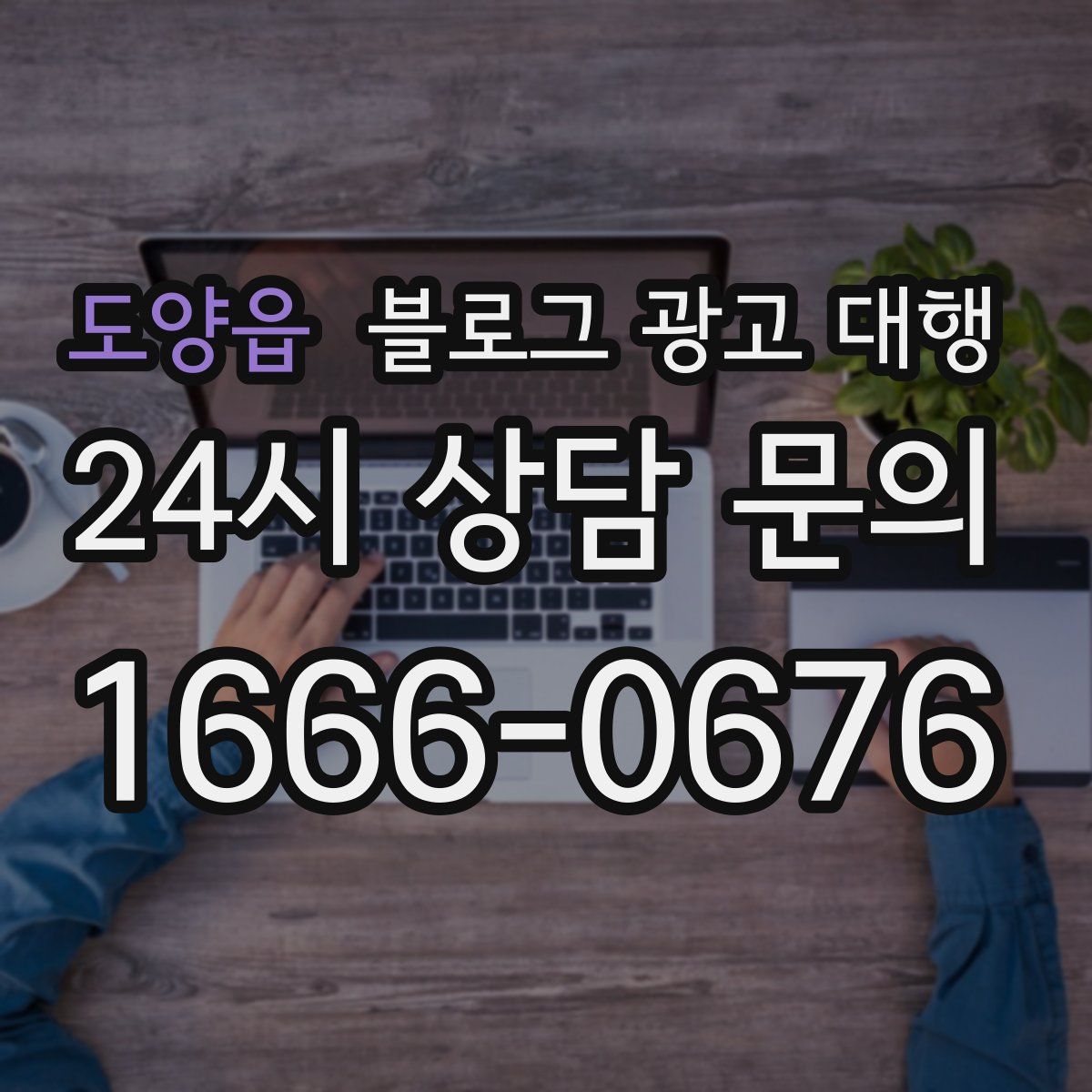 도양읍 블로그 광고 대행
