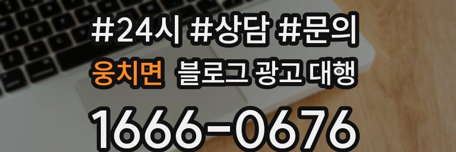 웅치면 블로그 광고 대행