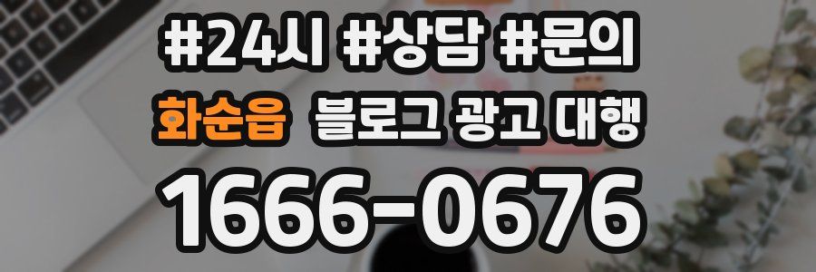 화순읍 블로그 광고 대행
