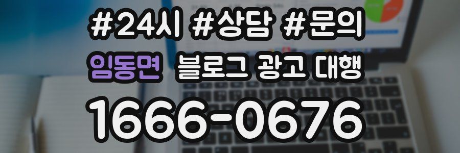 임동면 블로그 광고 대행