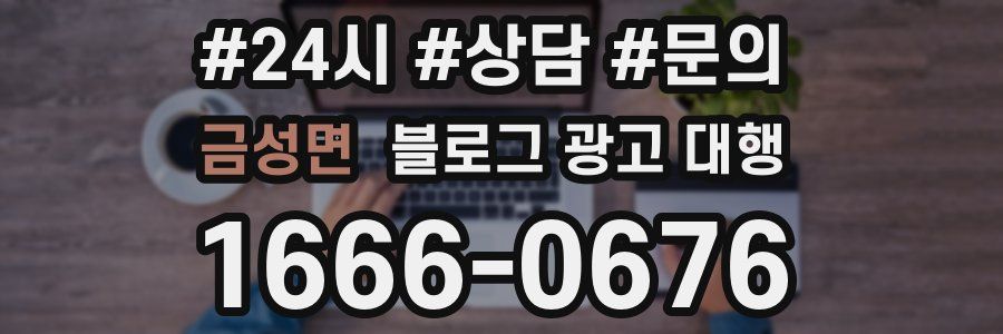금성면 블로그 광고 대행