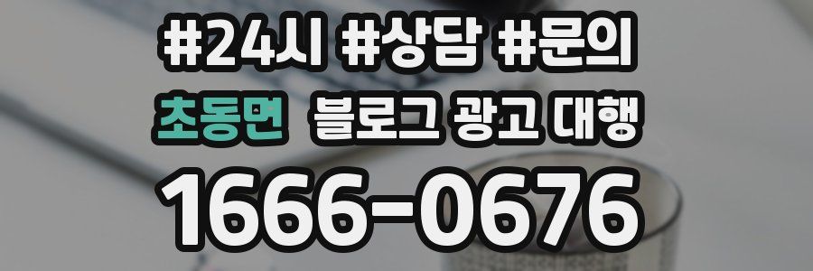 초동면 블로그 광고 대행