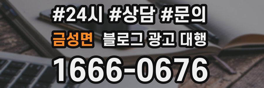금성면 블로그 광고 대행