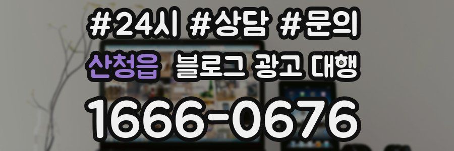 산청읍 블로그 광고 대행