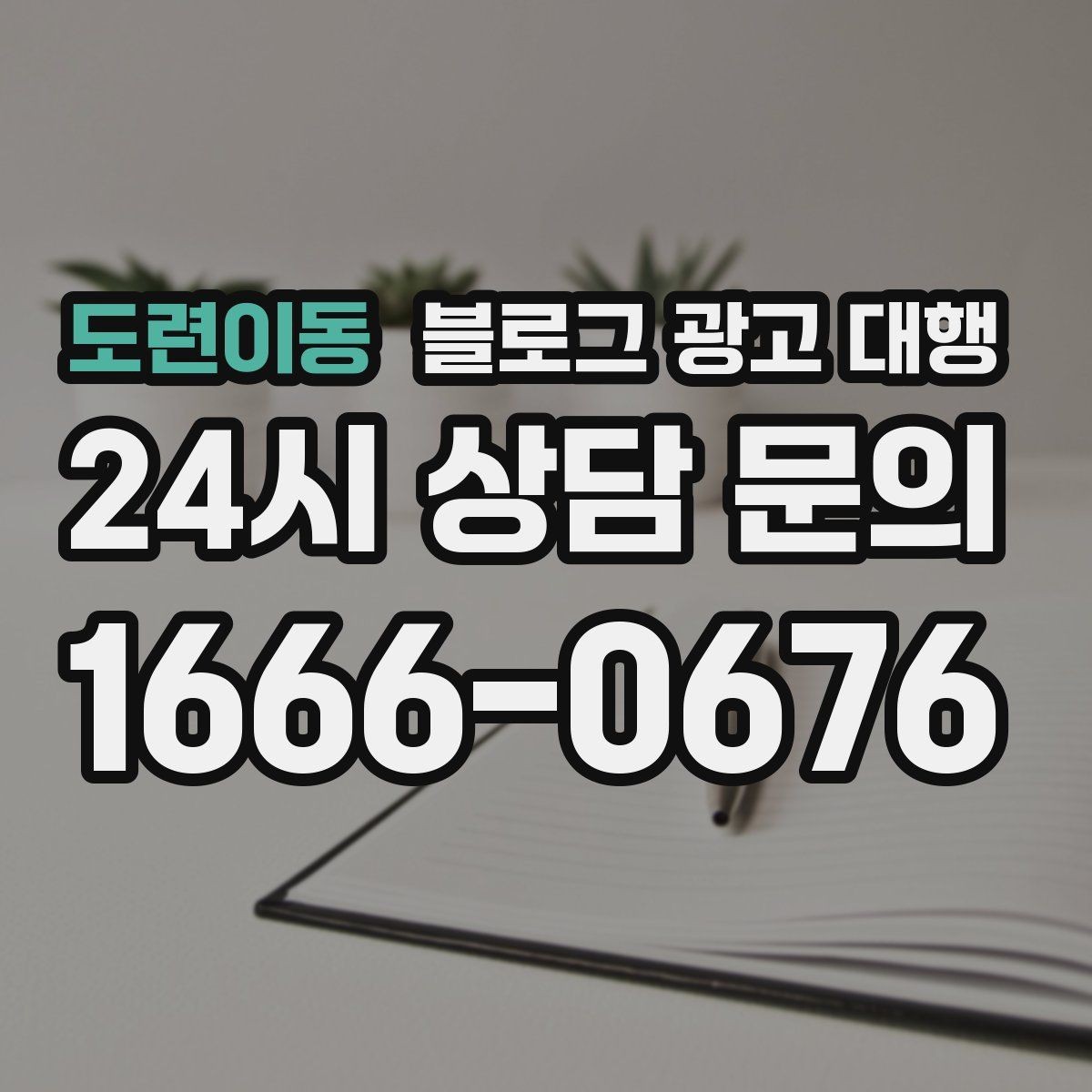 도련이동 블로그 광고 대행 업체의 전문성 확인 방법