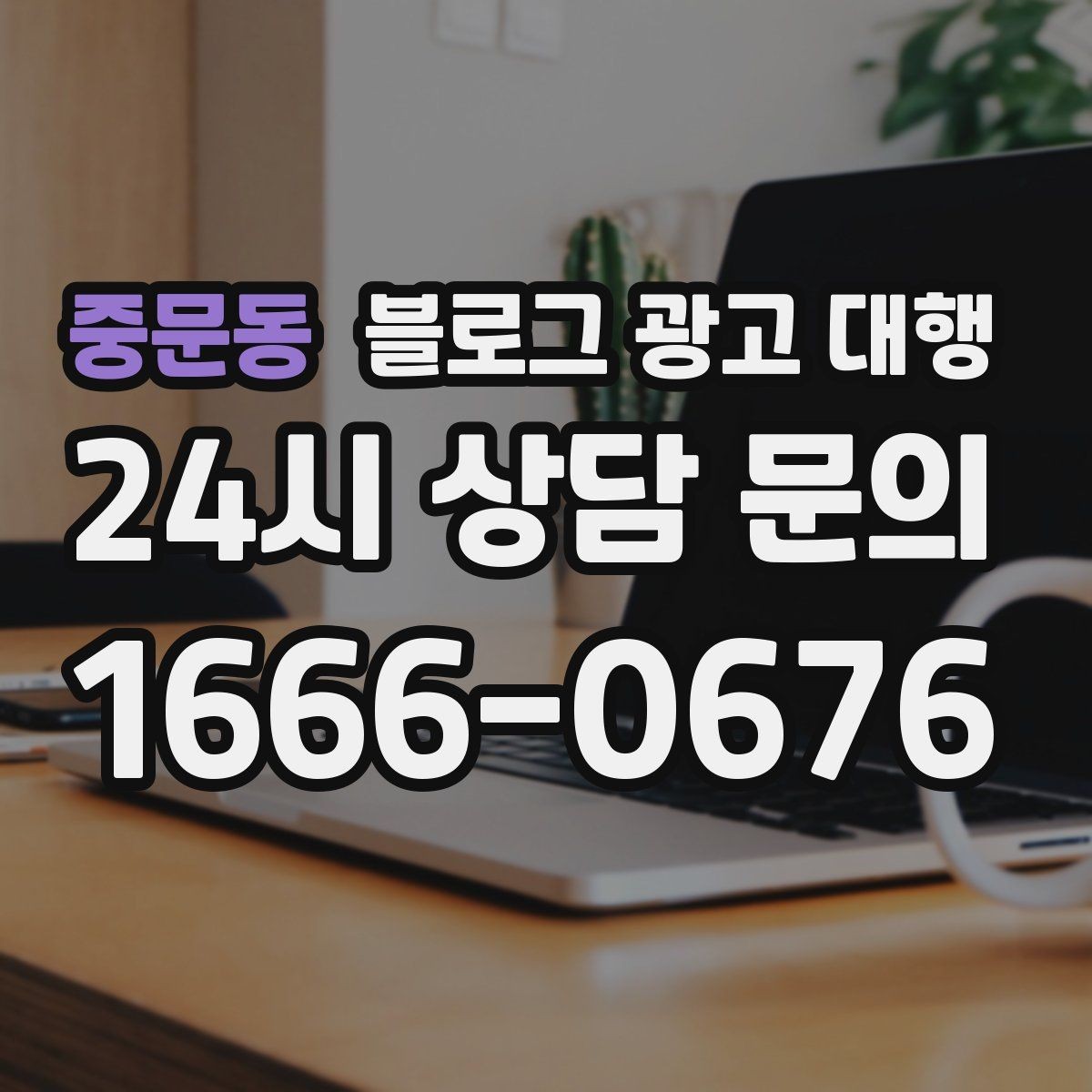 중문동 블로그 광고 대행 결과 분석을 위한 기본 보기