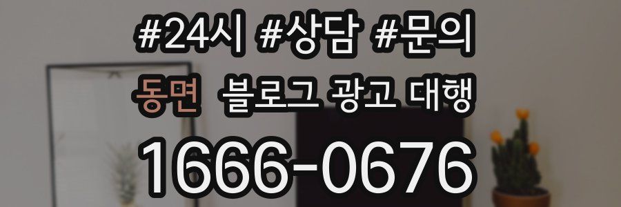 동면 블로그 광고 대행