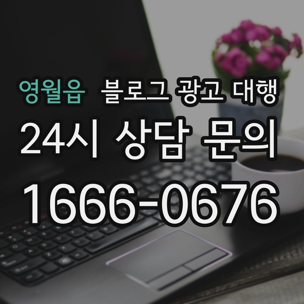 영월읍 블로그 광고 대행 콘텐츠 기획은 이렇게 달라진다