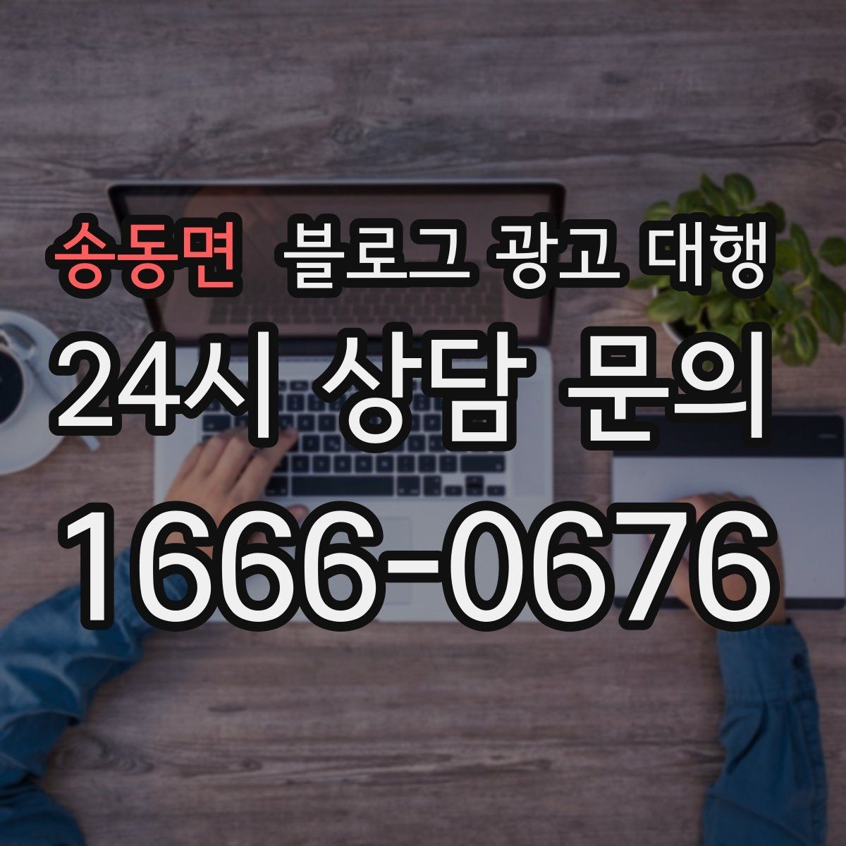 송동면 블로그 광고 대행 비용 차이는 어디서 생길까