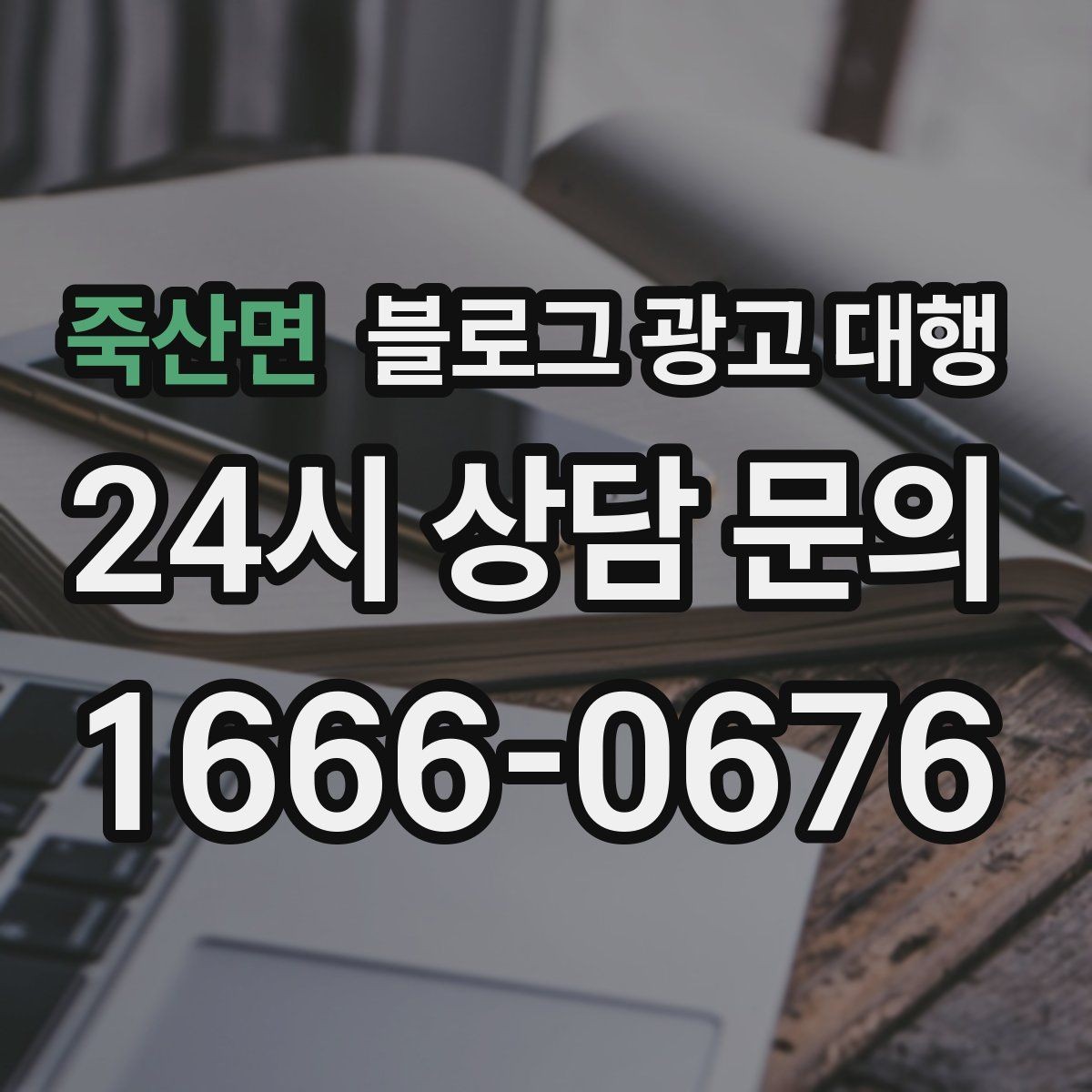 죽산면 블로그 광고 대행 결과 분석을 위한 기본 보기
