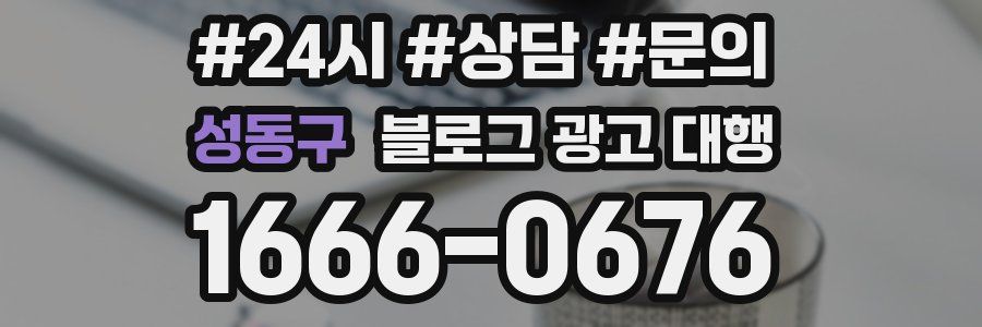 성동구 블로그 광고 대행