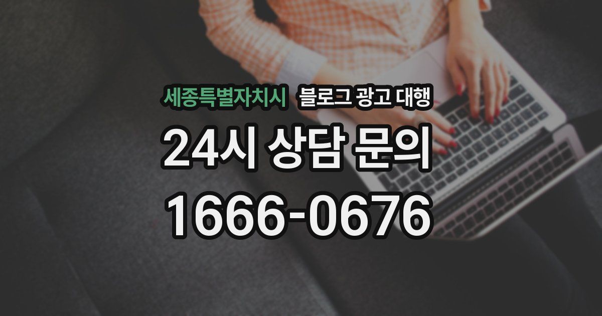 세종특별자치시 블로그 광고 대행