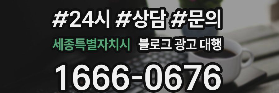 세종특별자치시 블로그 광고 대행
