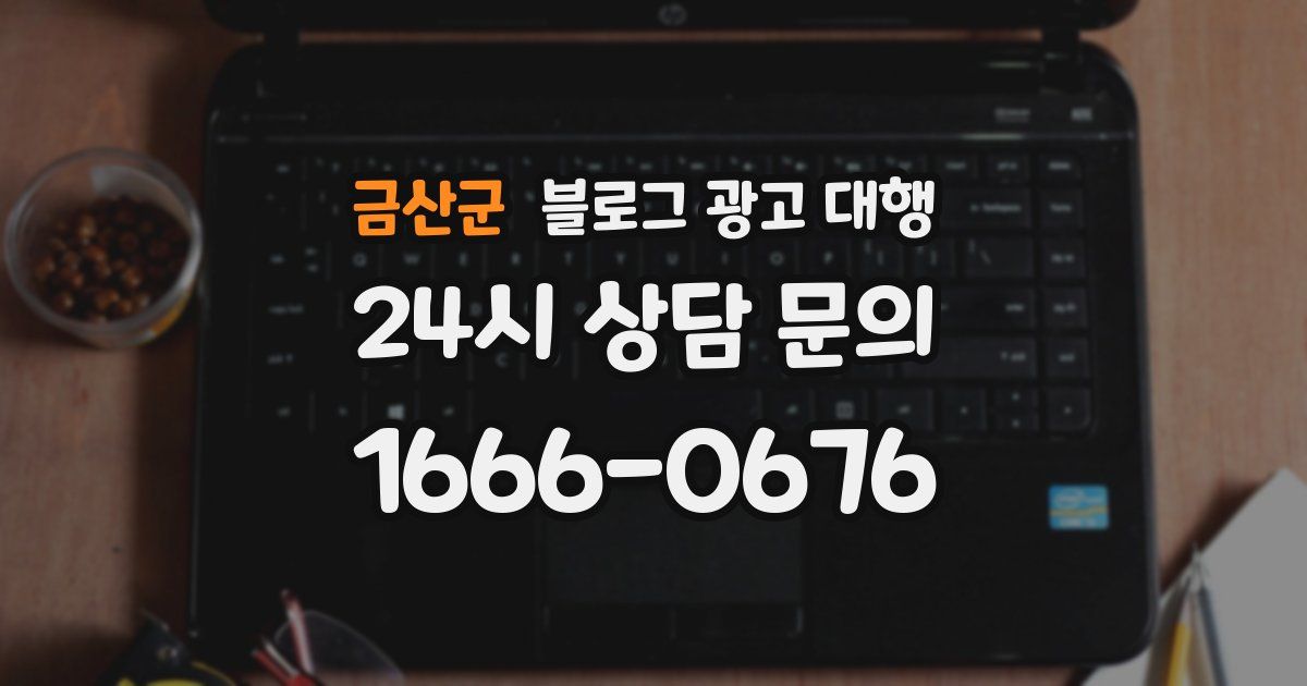 금산군 블로그 광고 대행