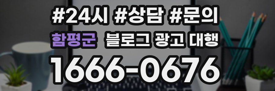 함평군 블로그 광고 대행