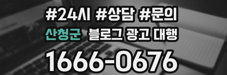 산청군 블로그 광고 대행
