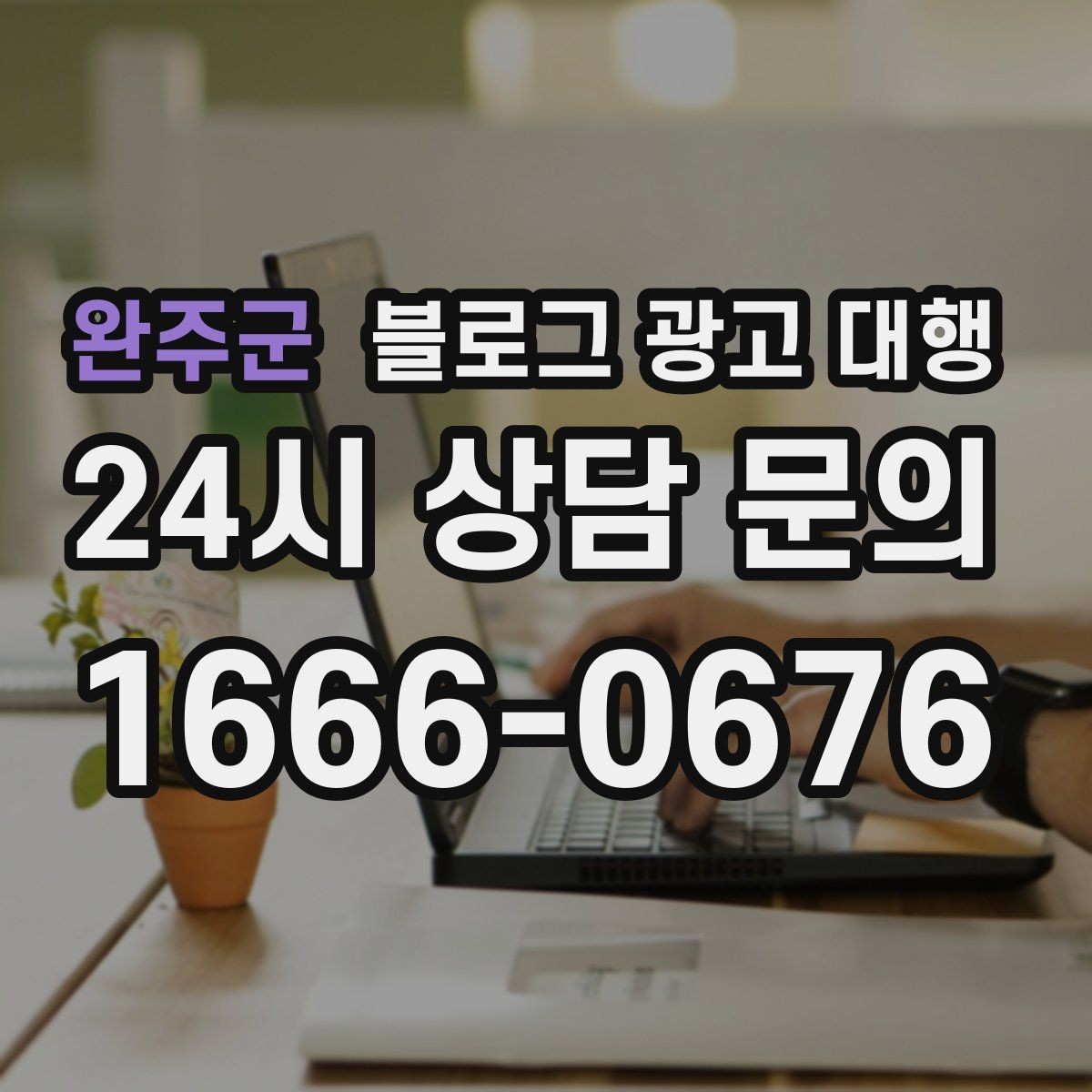 완주군 블로그 광고 대행 맡기기 전 참고할 운영 사례