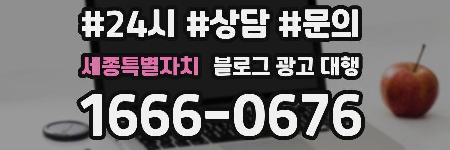 세종특별자치 블로그 광고 대행