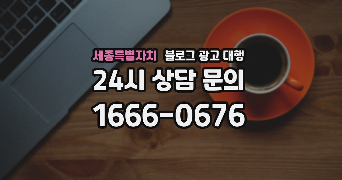 세종특별자치 블로그 광고 대행