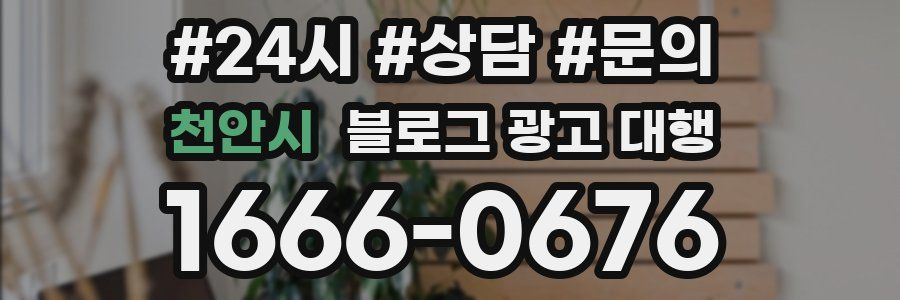 천안시 블로그 광고 대행