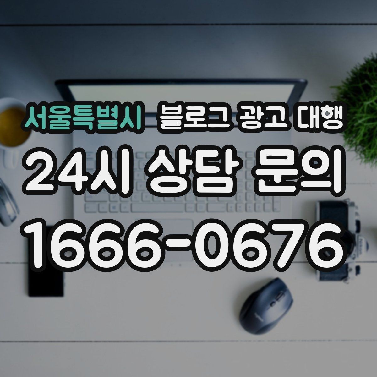 서울특별시 블로그 광고 대행 사례에서 보는 성공 포인트