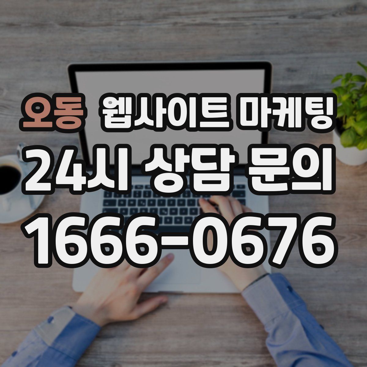 오동 웹사이트 마케팅