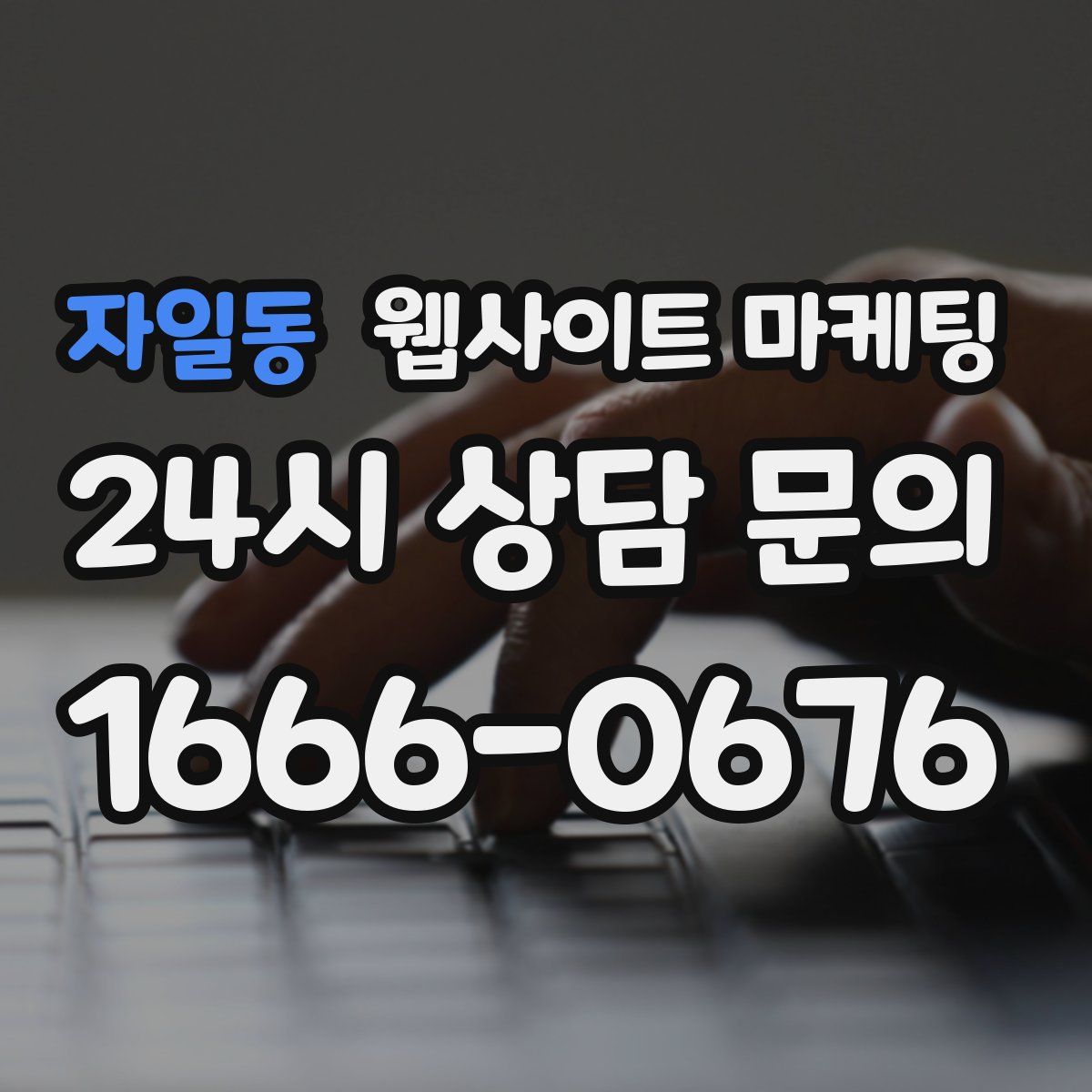 자일동 웹사이트 마케팅