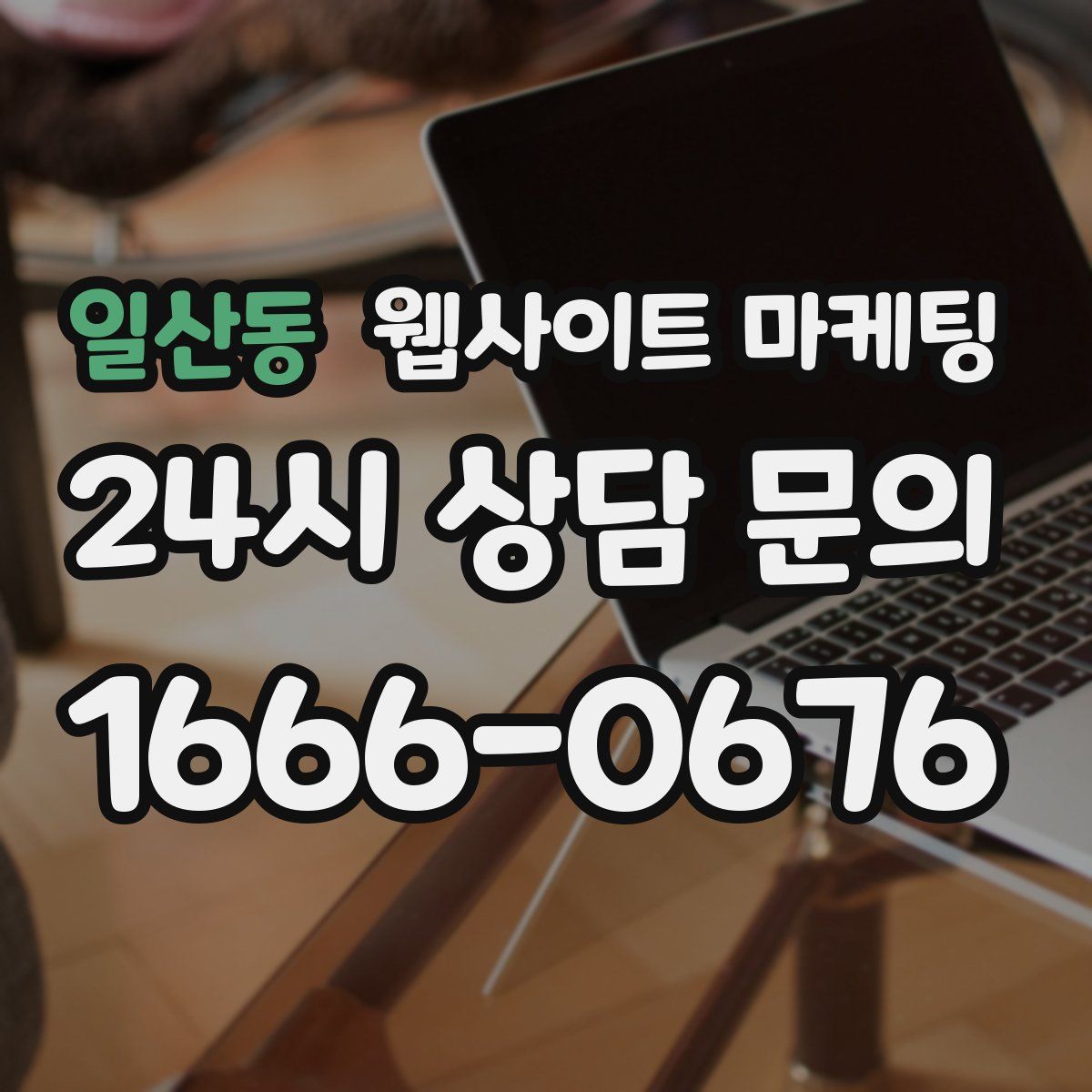 일산동 웹사이트 마케팅