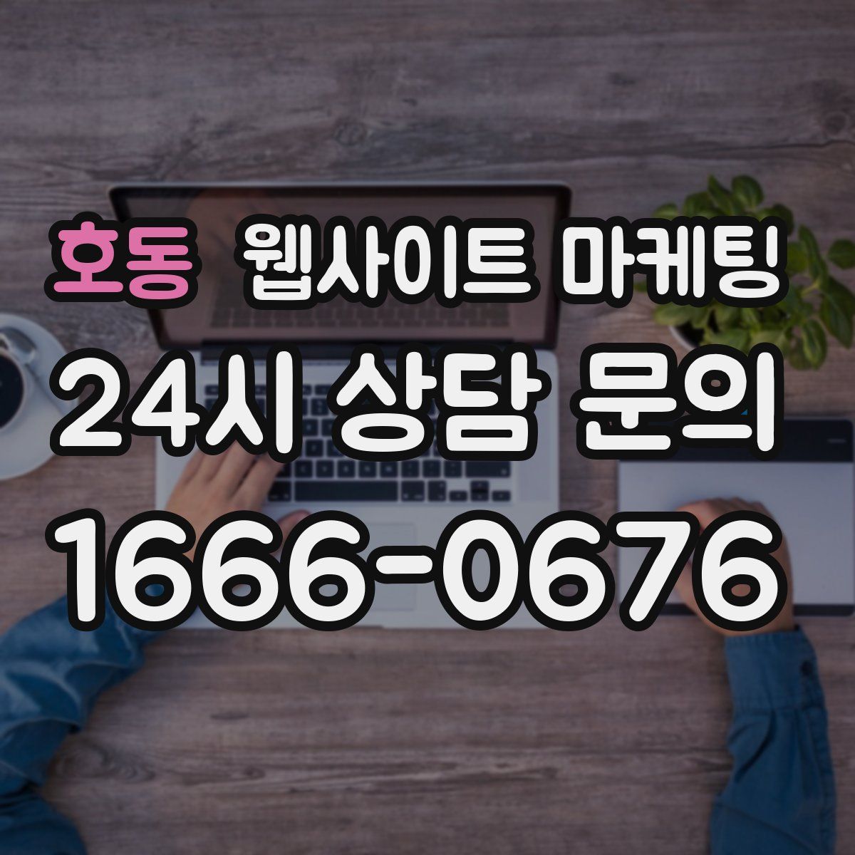 호동 웹사이트 마케팅