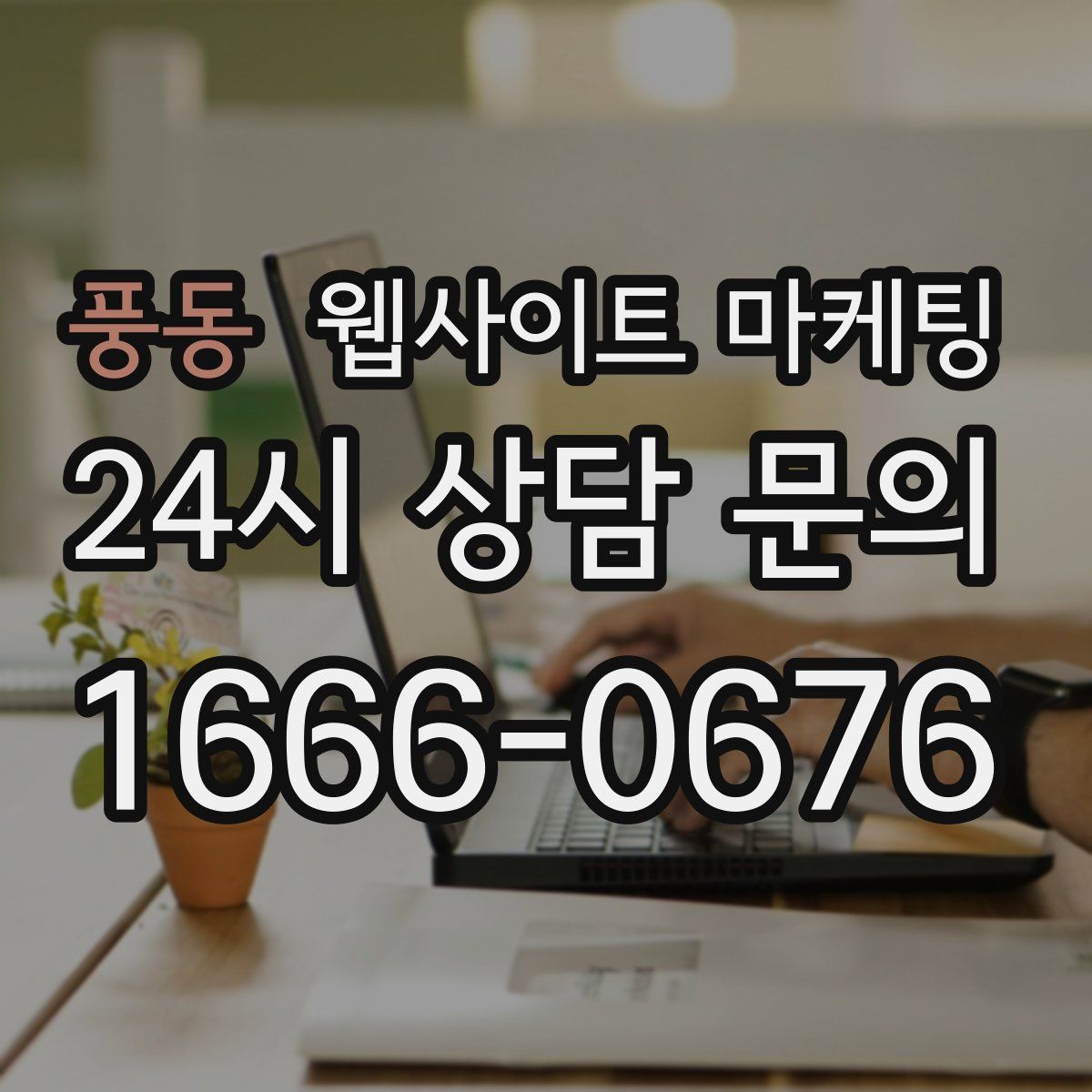 풍동 웹사이트 마케팅