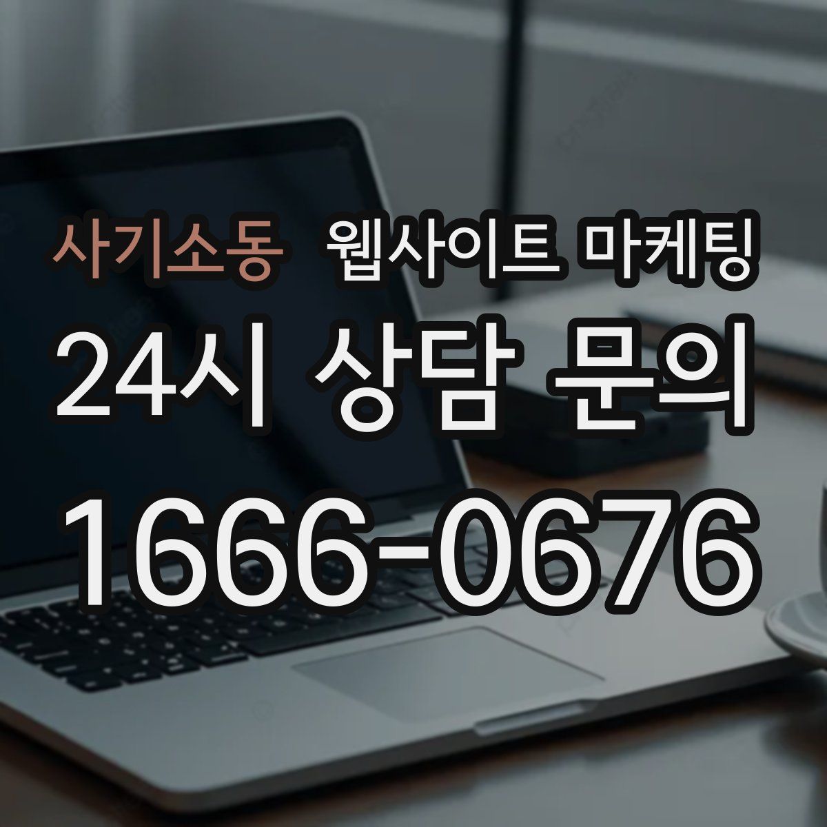 사기소동 웹사이트 마케팅