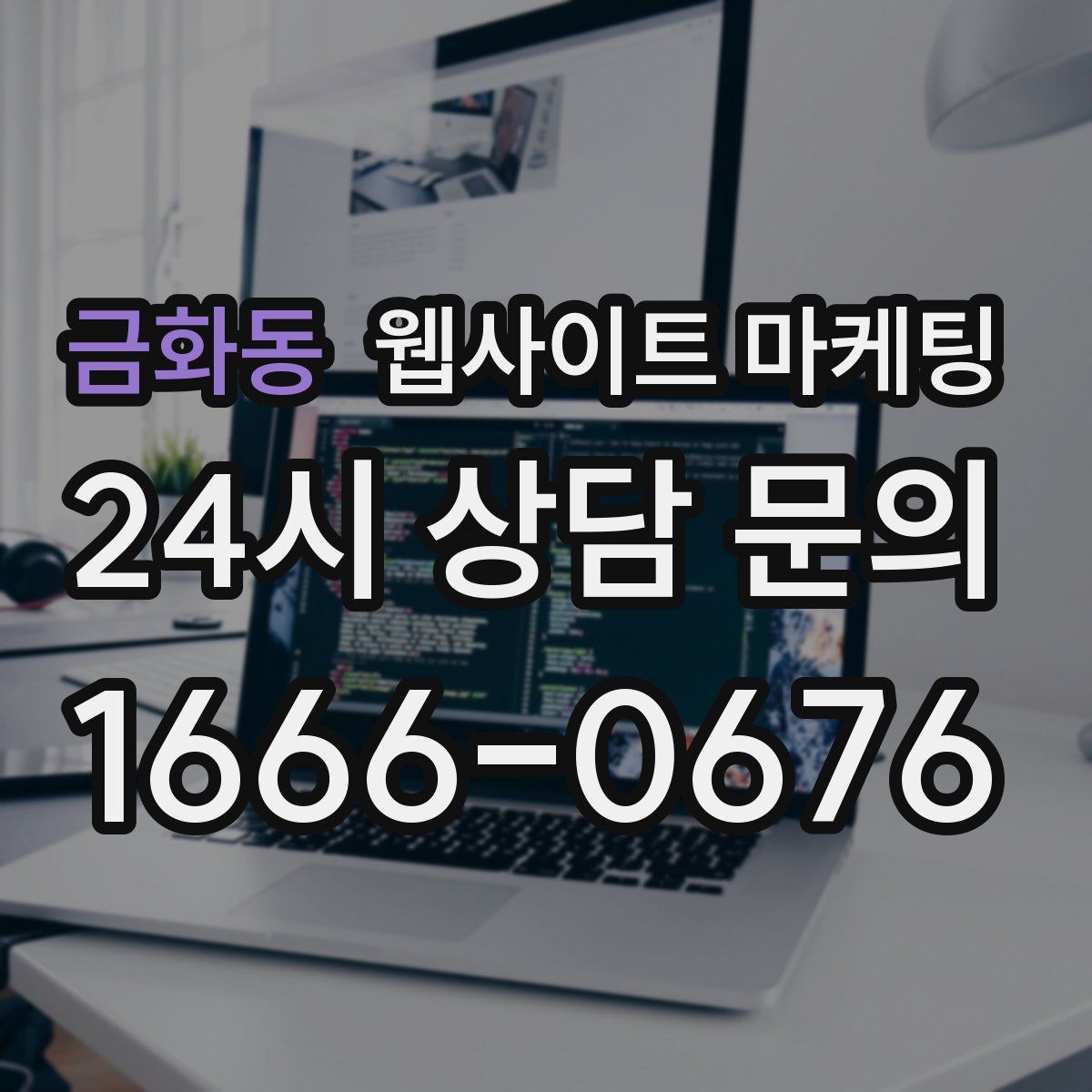 금화동 웹사이트 마케팅