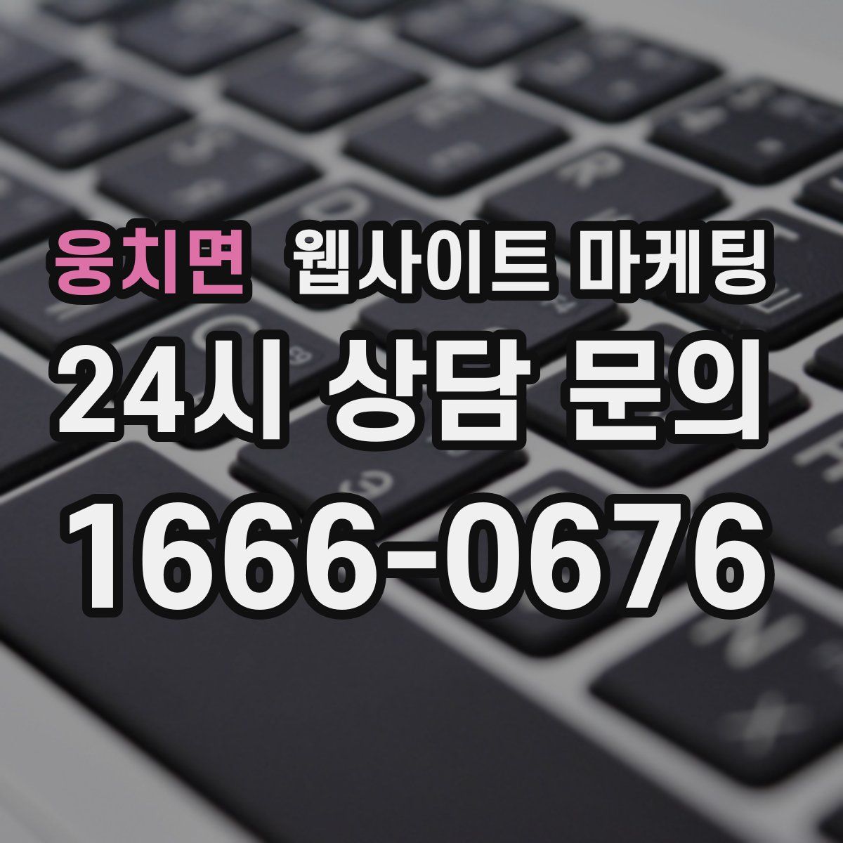 웅치면 웹사이트 마케팅