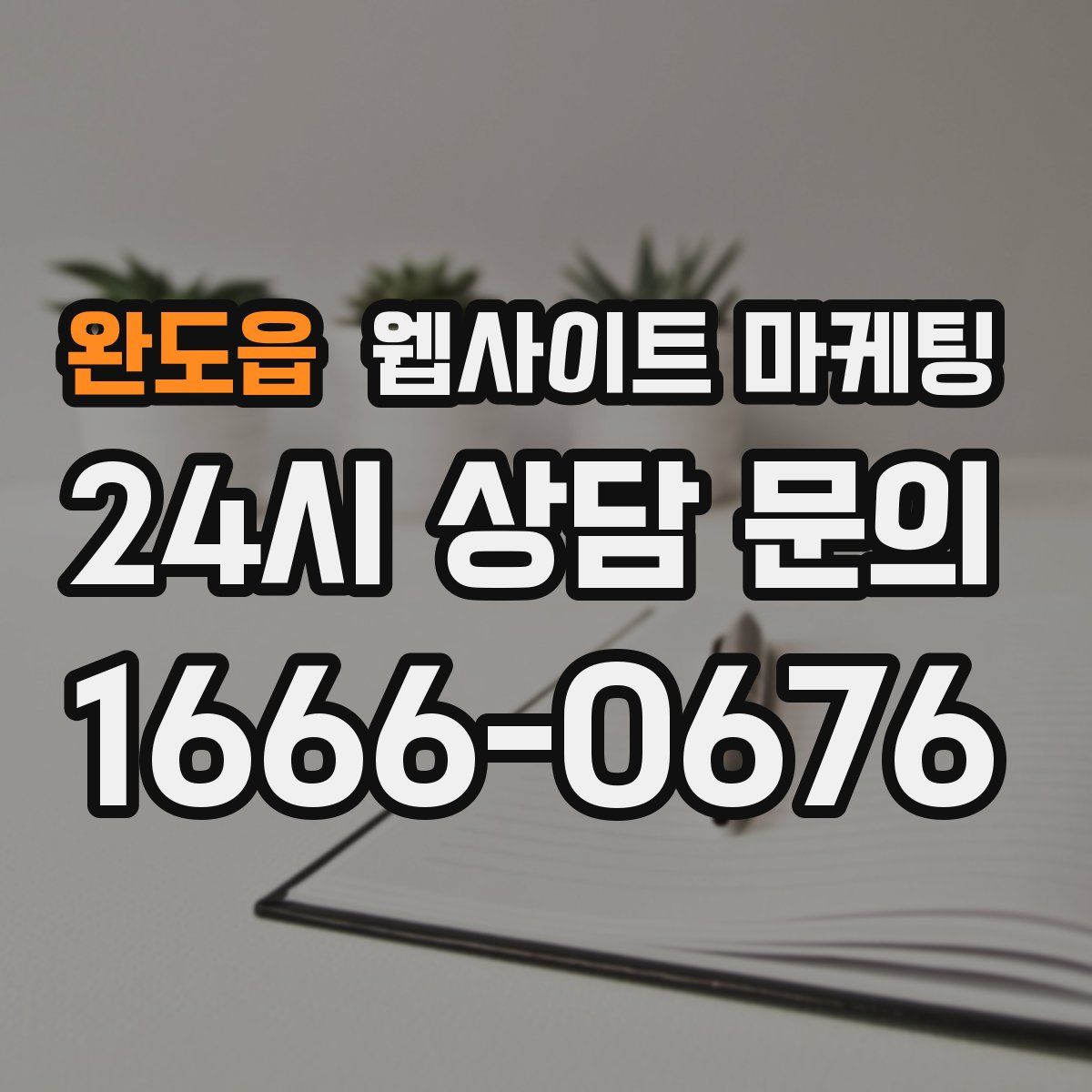완도읍 웹사이트 마케팅