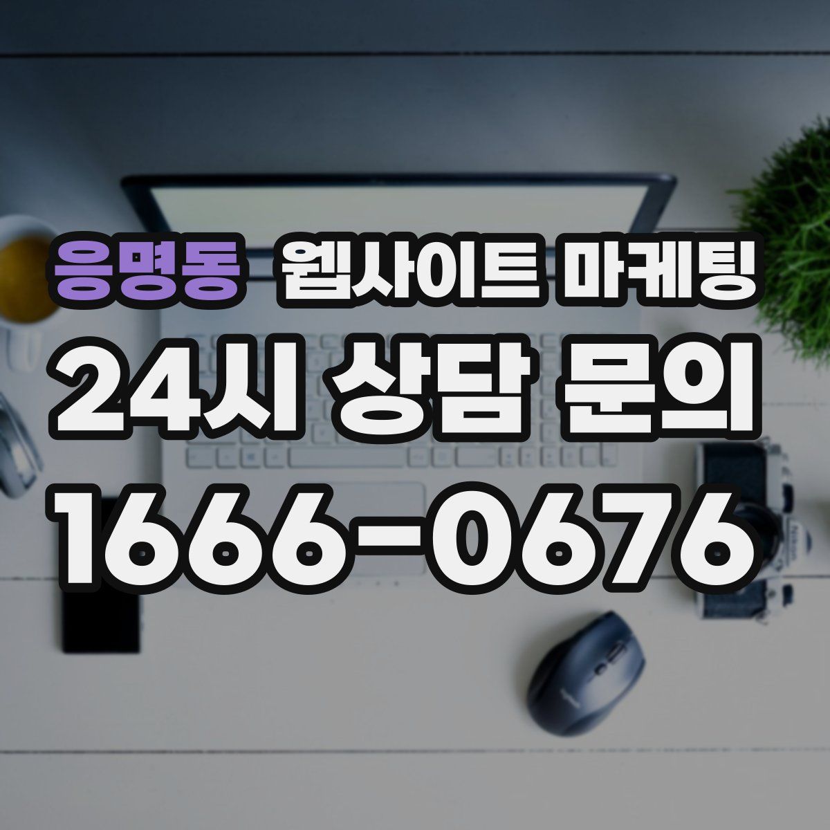 응명동 웹사이트 마케팅