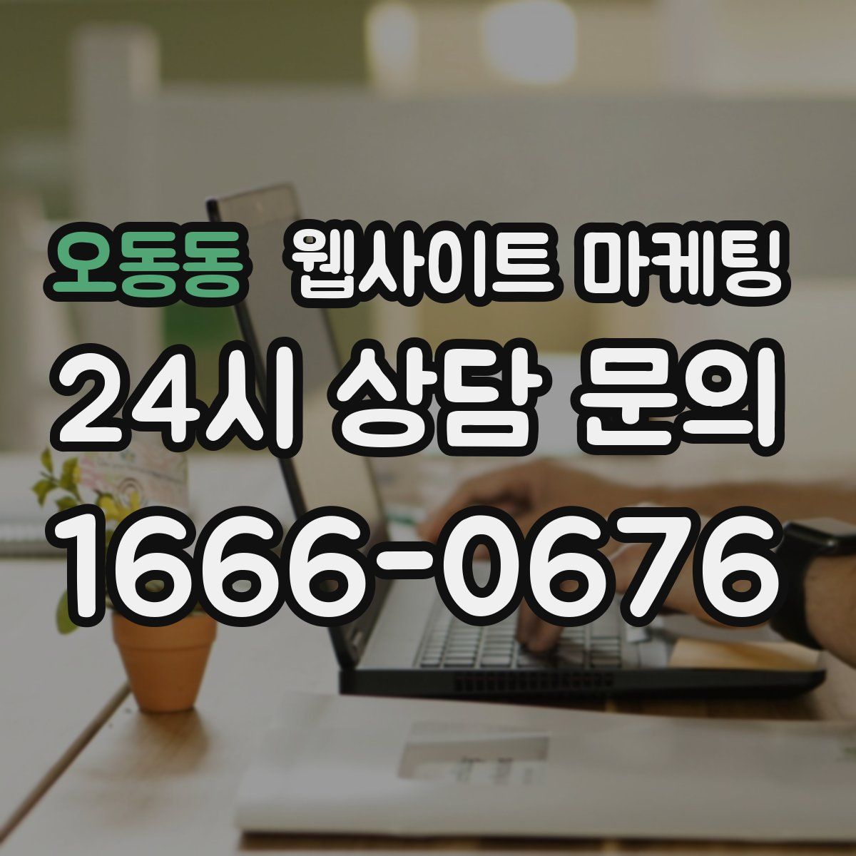 오동동 웹사이트 마케팅