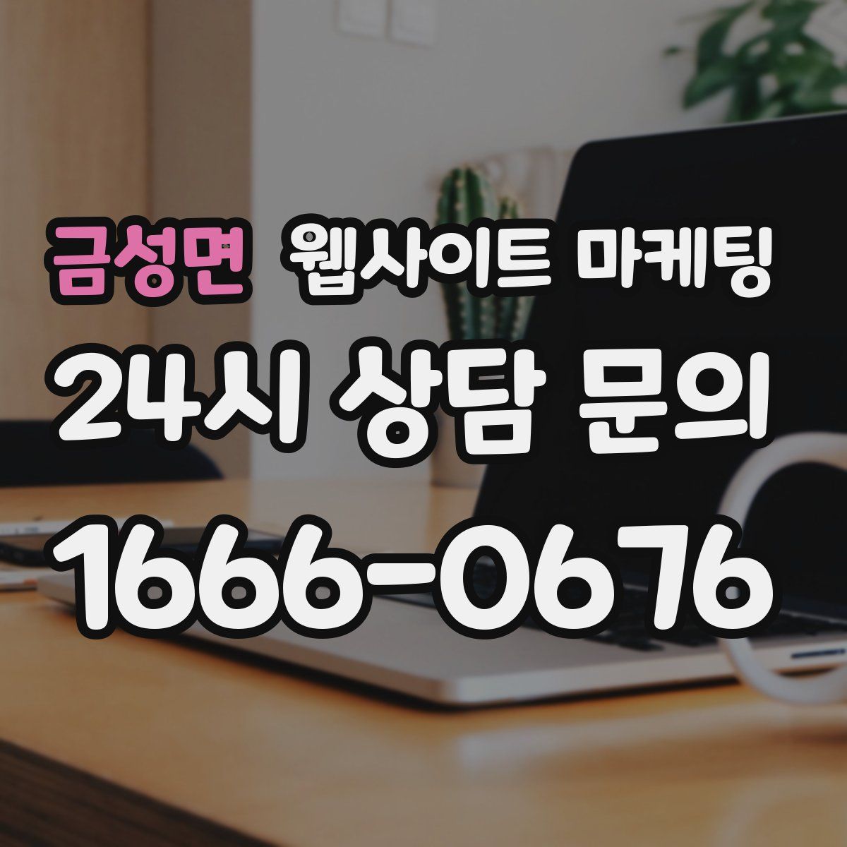 금성면 웹사이트 마케팅