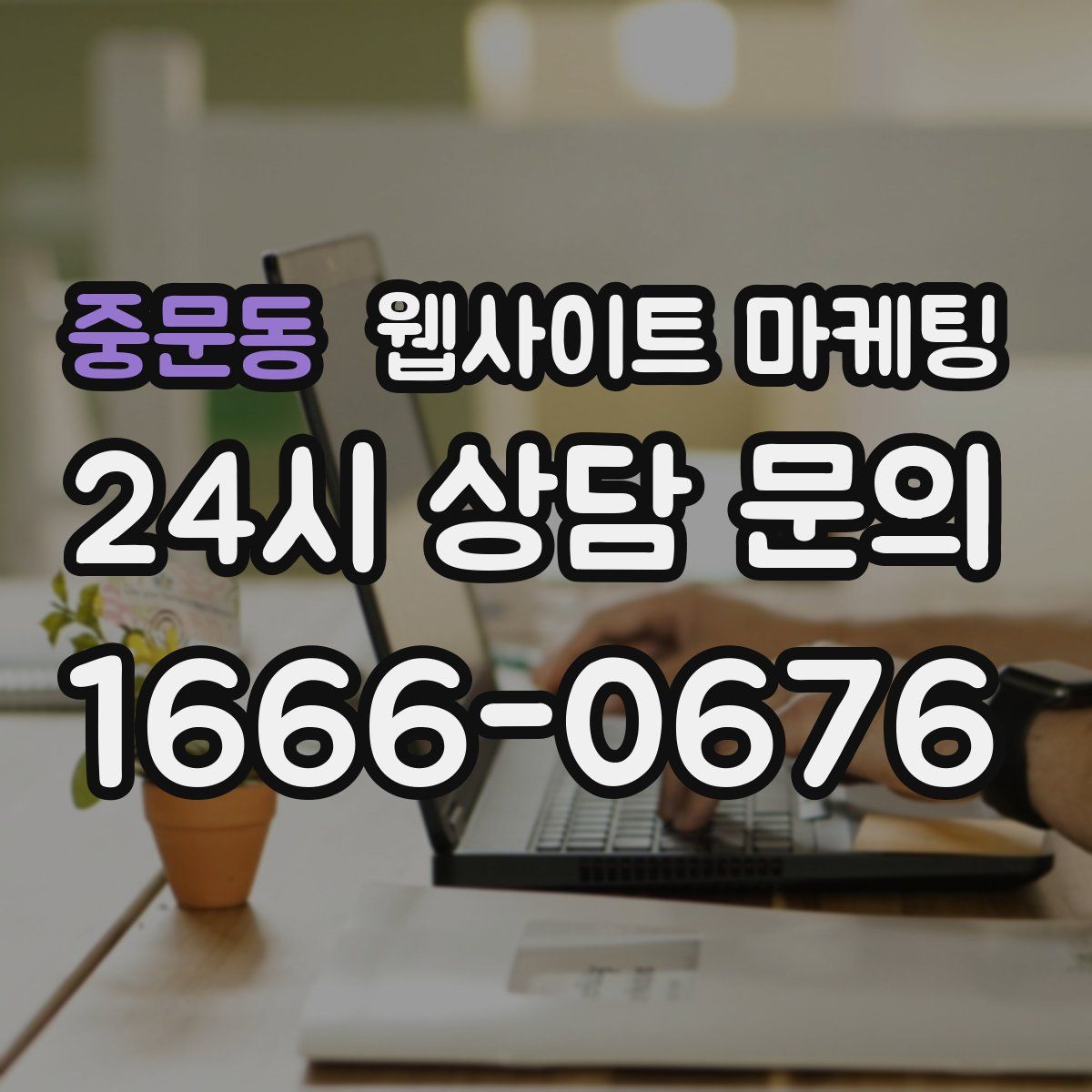 중문동 웹사이트 마케팅