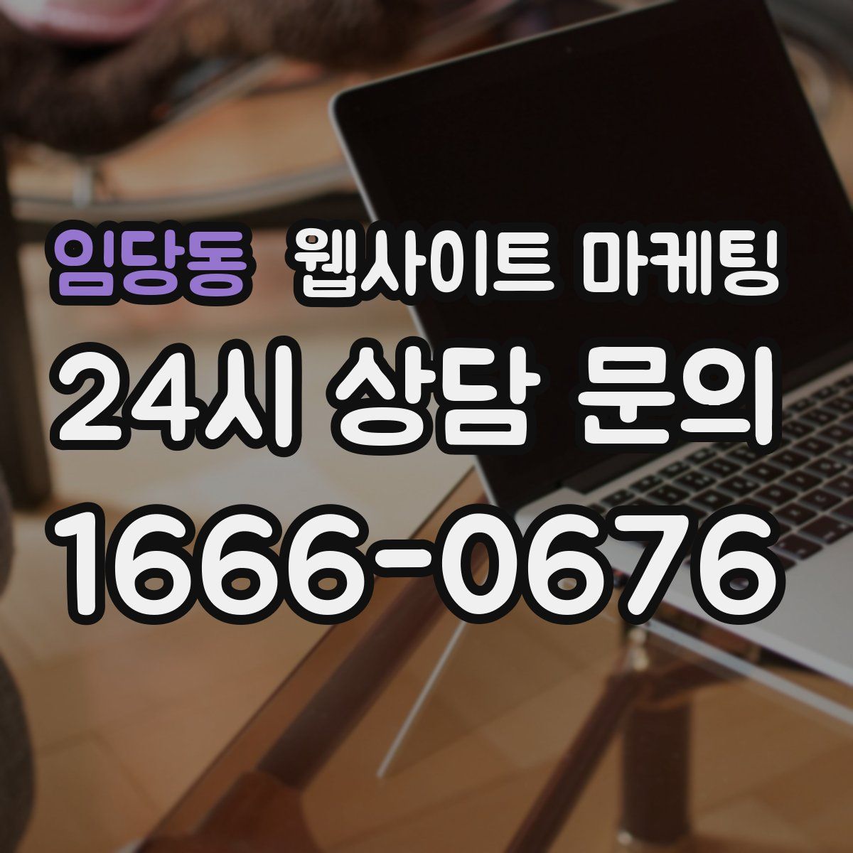 임당동 웹사이트 마케팅