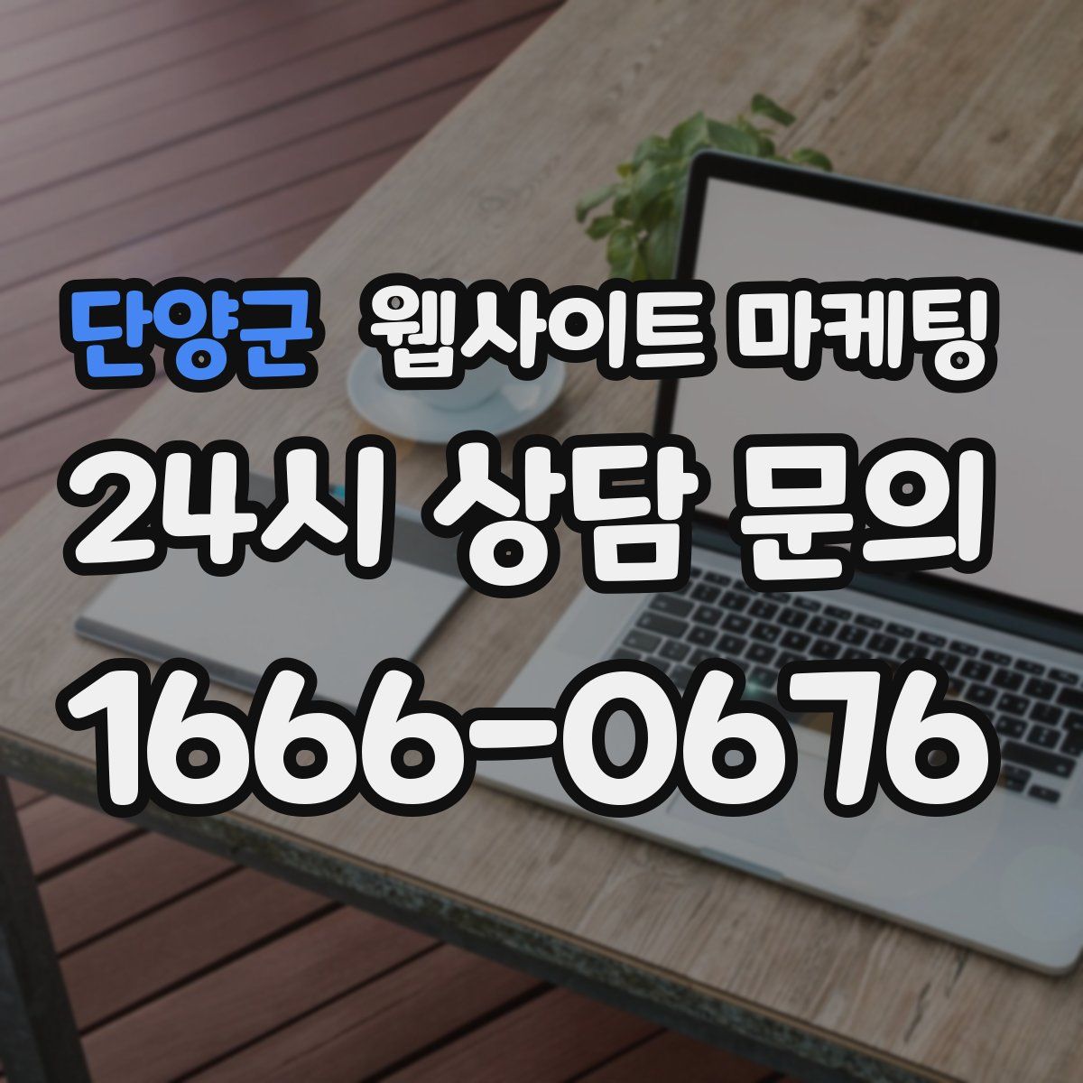 단양군 웹사이트 마케팅