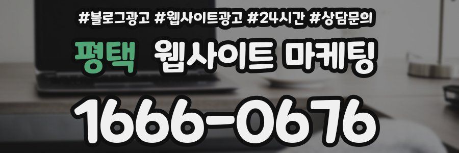 평택 웹사이트 마케팅