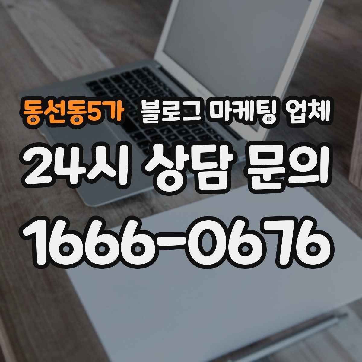 동선동5가 블로그 마케팅 업체 비교 시 서비스 구성부터 살펴보기