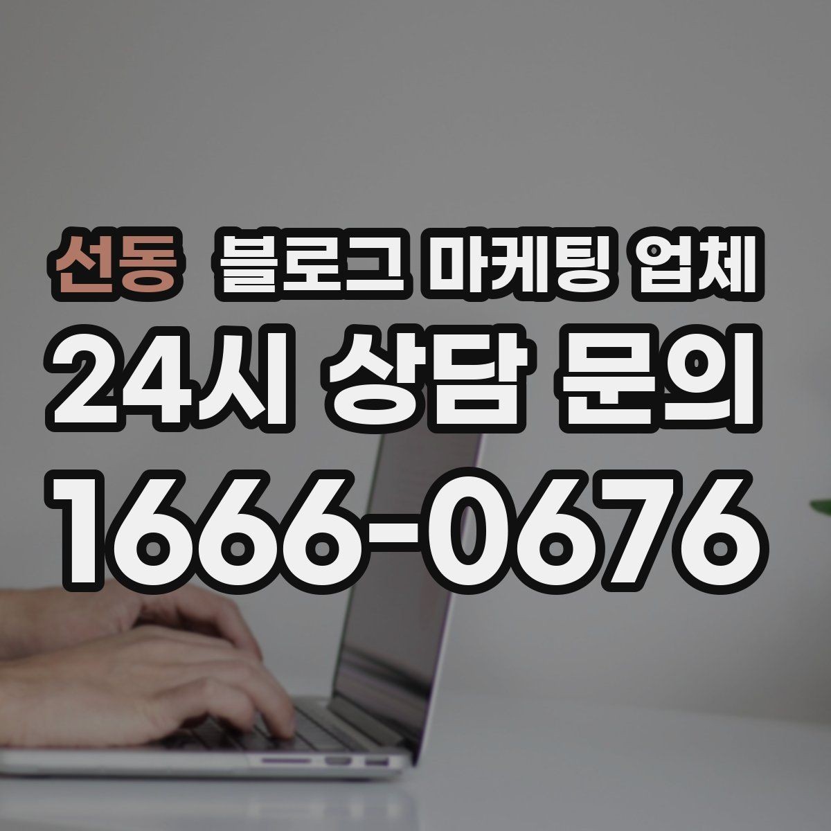 선동 블로그 마케팅 업체 사례 분석으로 보는 선택 기준