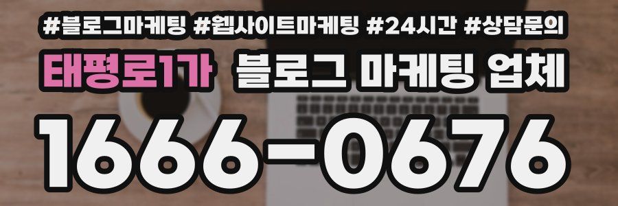 태평로1가 블로그 마케팅 업체