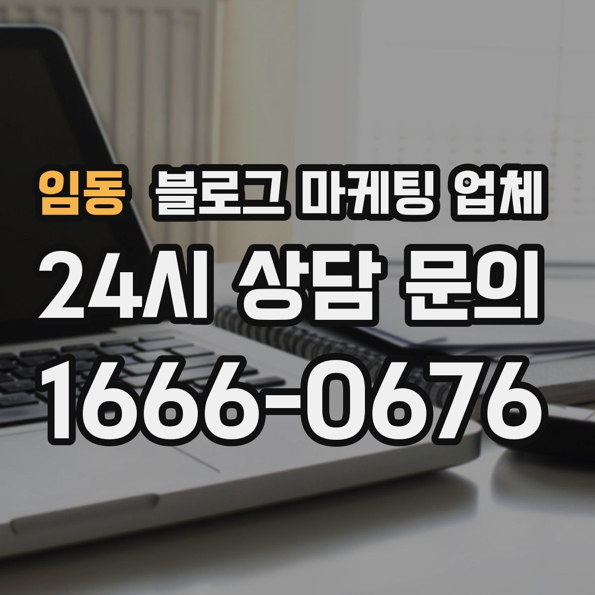 임동 블로그 마케팅 업체