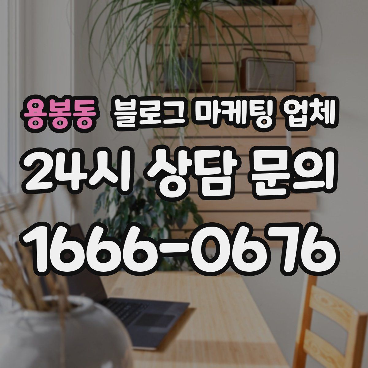 용봉동 블로그 마케팅 업체