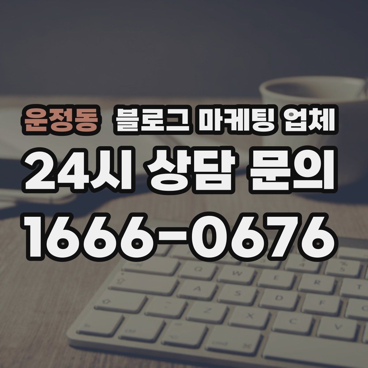 운정동 블로그 마케팅 업체 포트폴리오에서 확인할 내용