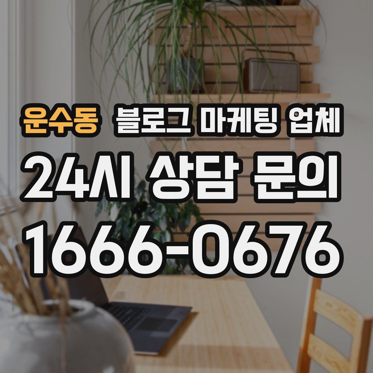 운수동 블로그 마케팅 업체 진행 사례에서 배우는 운영 팁