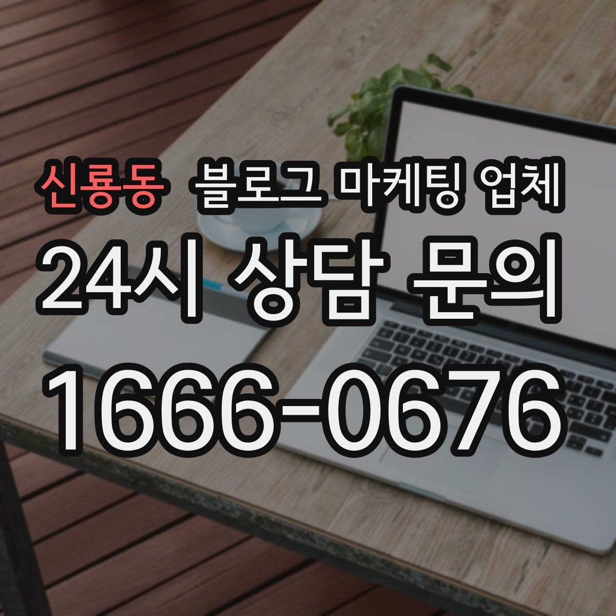 신룡동 블로그 마케팅 업체 포트폴리오에서 확인할 내용